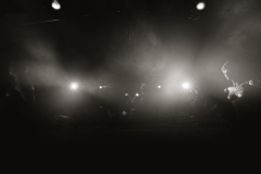Gombino-07388